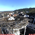 08_00-nest.jpg