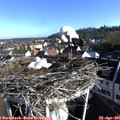 08_05-nest.jpg