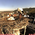 08_25-nest.jpg