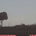 08_45-mast.jpg