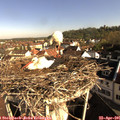 08_45-nest.jpg