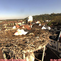 08_55-nest.jpg