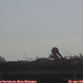 09_05-mast.jpg