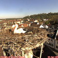 09_05-nest.jpg