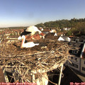 09_10-nest.jpg