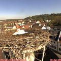 09_20-nest.jpg
