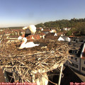 09_25-nest.jpg