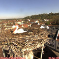 09_30-nest.jpg