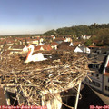 09_35-nest.jpg