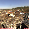 09_50-nest.jpg