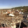 10_00-nest.jpg