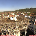 10_05-nest.jpg