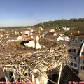 10_15-nest.jpg