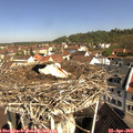 10_20-nest.jpg