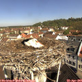 10_30-nest.jpg