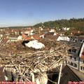 10_35-nest.jpg