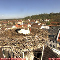10_40-nest.jpg