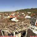 11_15-nest.jpg