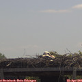 12_00-mast.jpg