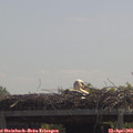 12_05-mast.jpg