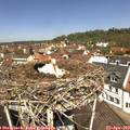 12_05-nest.jpg