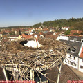 12_15-nest.jpg