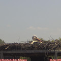 12_25-mast.jpg
