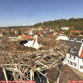 12_35-nest.jpg