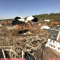 12_55-nest.jpg