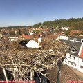 13_10-nest.jpg