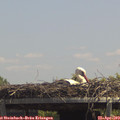 13_35-mast.jpg