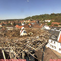 13_35-nest.jpg