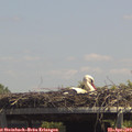 13_45-mast.jpg