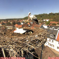 14_05-nest.jpg