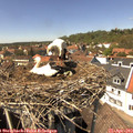 14_20-nest.jpg