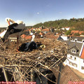 14_45-nest.jpg