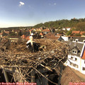 15_40-nest.jpg