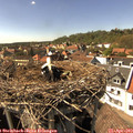 15_45-nest.jpg