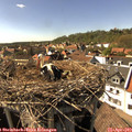 16_05-nest.jpg