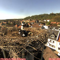 16_25-nest.jpg