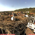 16_40-nest.jpg