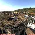 17_15-nest.jpg