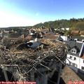 17_20-nest.jpg