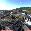 17_30-nest.jpg
