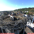 17_35-nest.jpg
