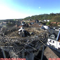 17_45-nest.jpg