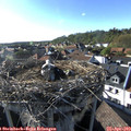 17_50-nest.jpg