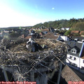 17_55-nest.jpg