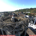 18_00-nest.jpg