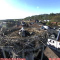 18_10-nest.jpg